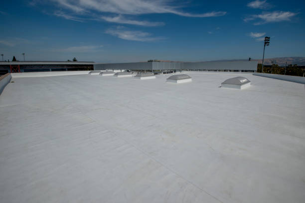 Best Roof Moss and Algae Removal  in Remerton, GA