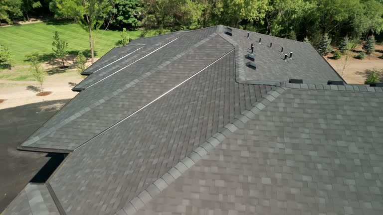 Emergency Roof Repair in Remerton, GA