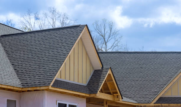 Best Roof Leak Repair  in Remerton, GA